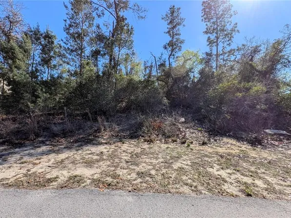 13014 Hanley Dr, Spring Hill, FL 34609