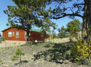 261 S Running Bear Rd, Hartsel, CO 80449