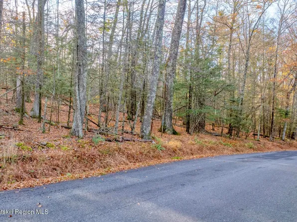 Tbd Cherry Hill Lot #3 Road, Stone Ridge, NY 12484
