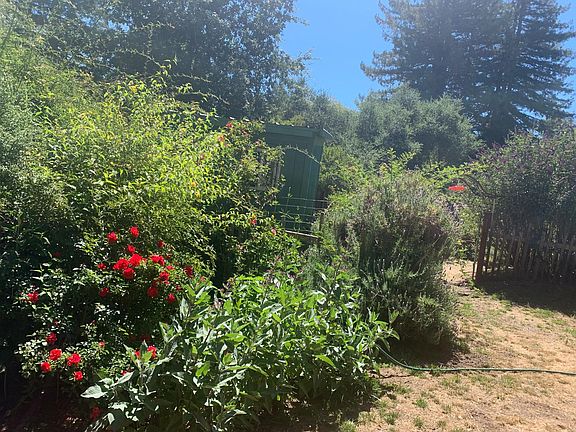 back garden