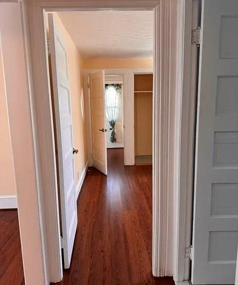 31 Potter St #1 — Photo 10