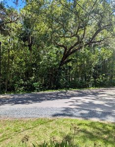 SW 7th Averd Ave Lot 15, Ocala, FL, 34471