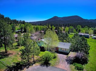 29563 Green Wood Ln, Evergreen, CO 80439