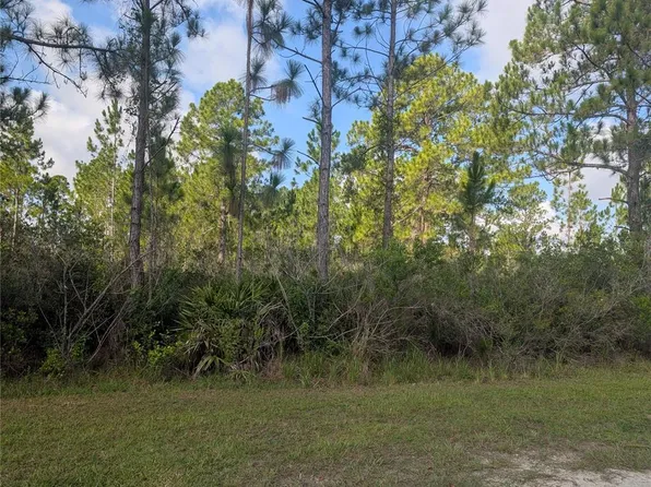 CORAL GABLES DRIVE LOT 40, INDIAN LAKE ESTATES, FL 33855