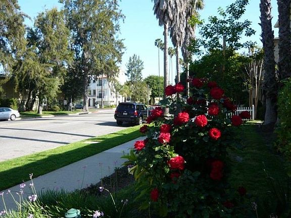 Quiet walking neighborhood