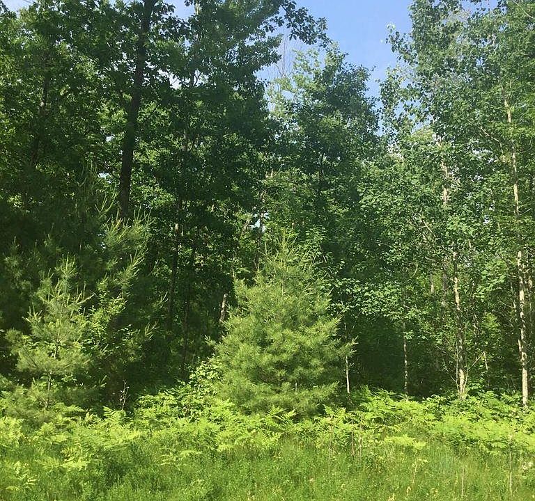 Stroika Ln 5, Crivitz, WI 54114 MLS 50259364 Zillow