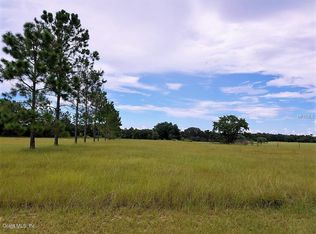 17763 SE 156th Place Rd, Weirsdale, FL 32195