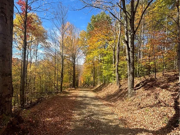 Paynesville Hill Rd Lot 10, Whitesville, NY 14897