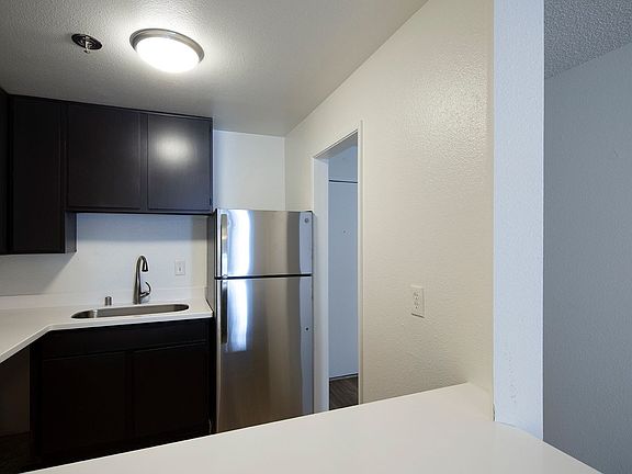 4th image of 4022 Albatross St APT 204