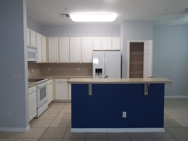 13911 Lake Mahogany Blvd #2912 — Photo 8