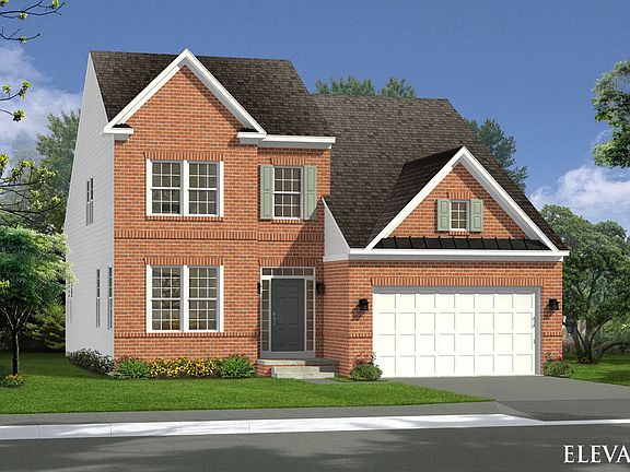 Elevation 7