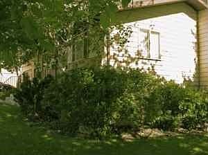 Side of Home
