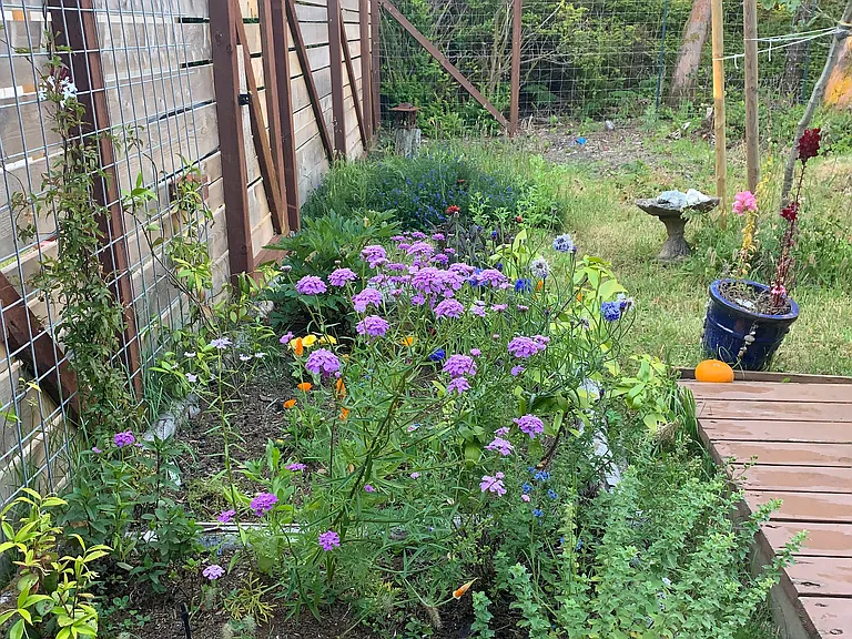 Beautiful flower and herb beds all over the property