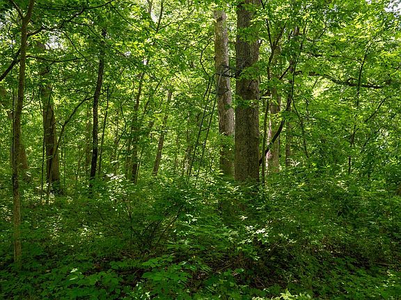 5th image of 13682 W Stateline Rd