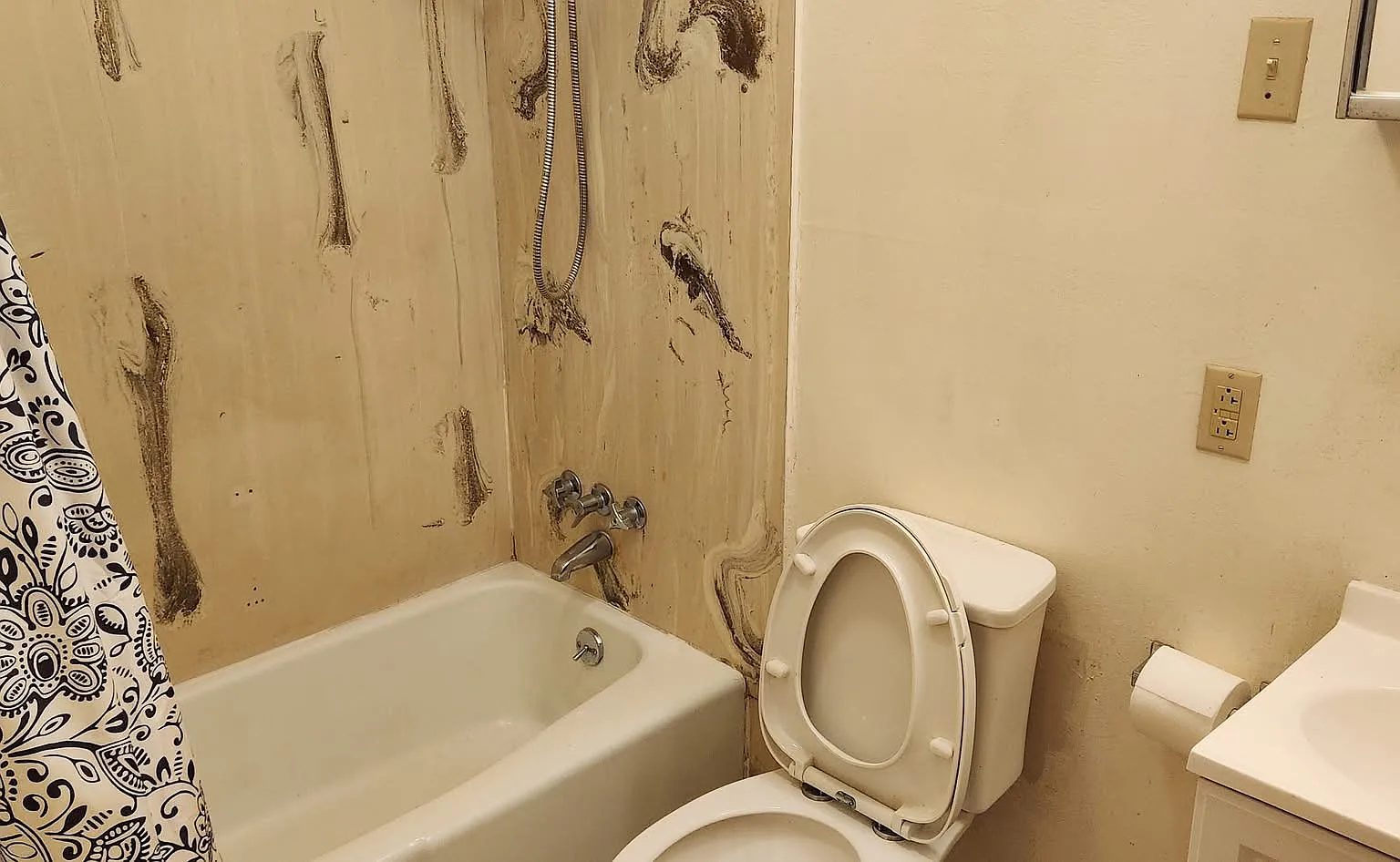 2 bed, $750 — Photo 4