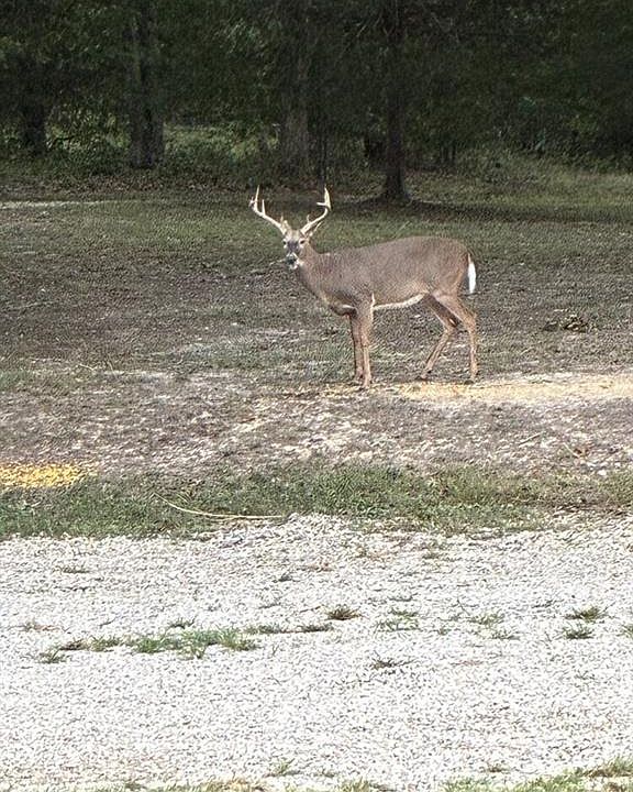 1st image of 0 Turkey Foot Rd