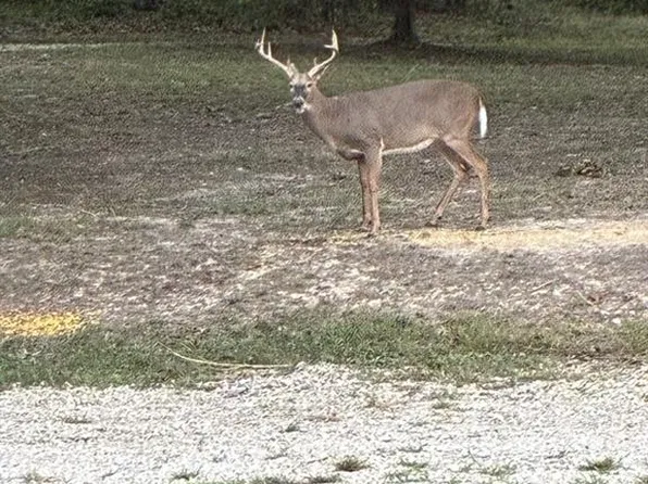 0 Turkey Foot Rd, Bourbon, MO 65441