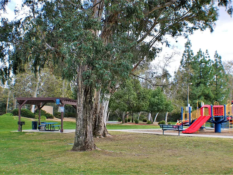 10386 Meadow Creek Dr — Photo 41