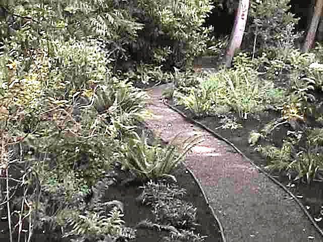 2nd image of 1617 SW Midvale Rd