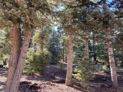 3315 N Arapaho Dr, Duck Creek Village, UT, 84762