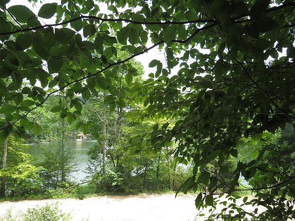3rd image of 0 Chaney Ridge Rd