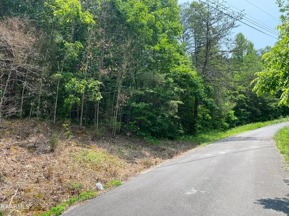 East Dr, Parrottsville, TN 37843