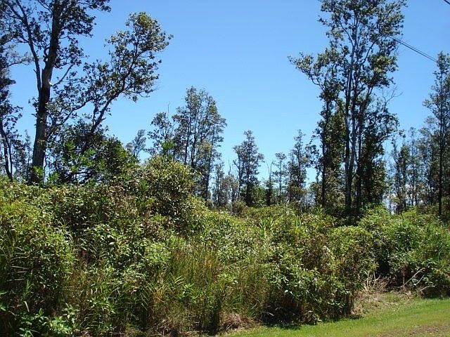 2nd image of Kuhio Dr Lot 15