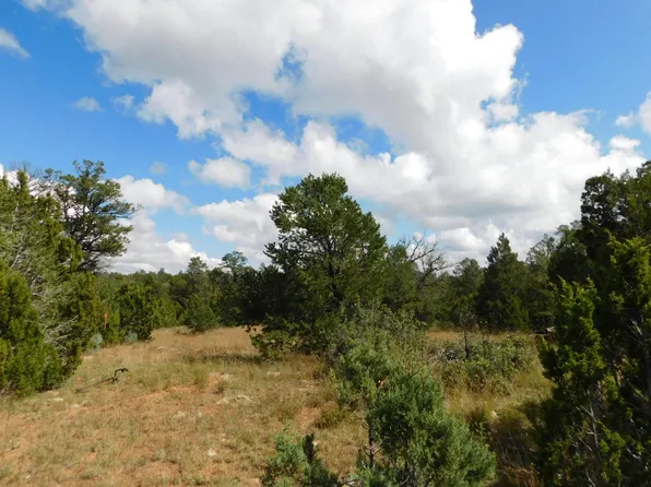 8384 Haven Crest Dr, Happy Jack, AZ 86024