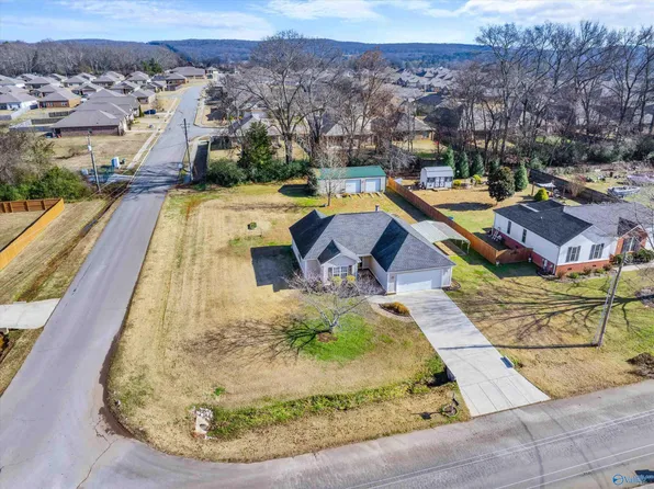 229 Tanner Point Dr, New Market, AL 35761