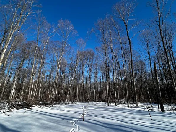 8845 B B6 Reynolds Rd #5, Traverse City, MI 49684