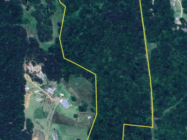 E S Dr, Braxton, MS 39044