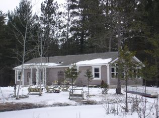 2221 Swamp Rd, Grayling, MI 49738