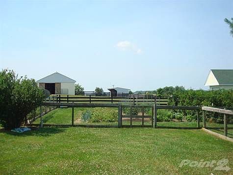 Barn, Garden, Garden shed