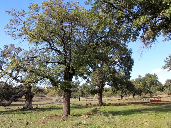 963 Josephine Dr, Harper, TX 78631