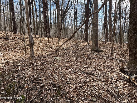 3rd image of 0 Swann Saddle Rd Lot 12