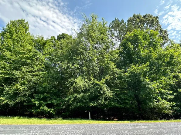 0-4 N POINTE Drive, Tignall, GA 30668