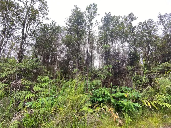 Pilo St Lot 49, Mountain View, HI 96771