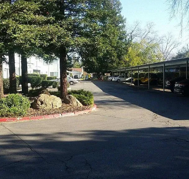 Madison Pines Apartments — Photo 11