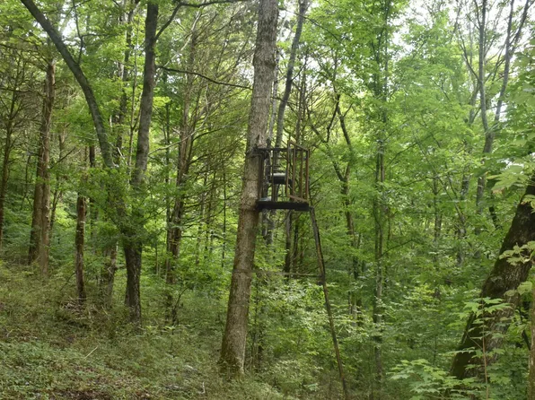 0 Ben Gentry Ln, Elmwood, TN 38560