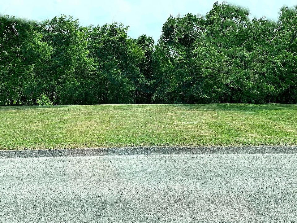 Summer View 