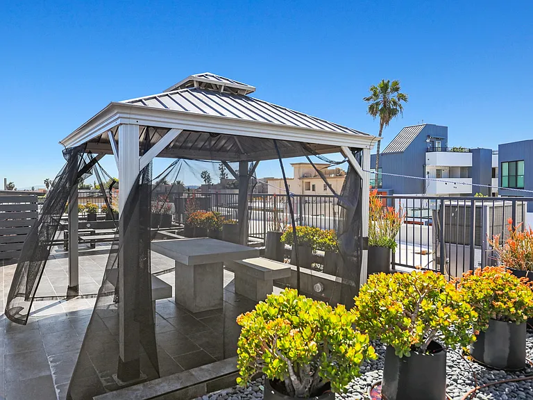 Pergola on the Rooftop Deck