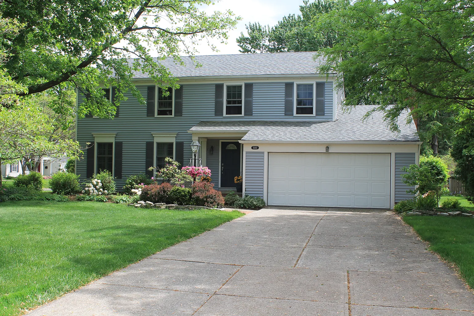 31213 Carlton Dr photo 1