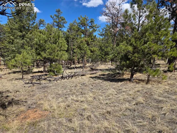 227 Calle Del Sol, Florissant, CO 80816