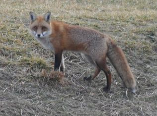 1585 Hugo Cir, Silver Spring, MD 20906