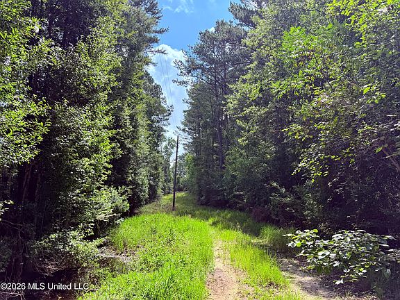 2nd image of 40AC-31092 State Highway 63