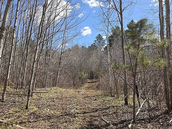 2nd image of 2 Prairie Lake Rd