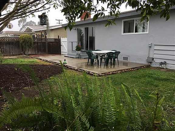 Grassy back yard