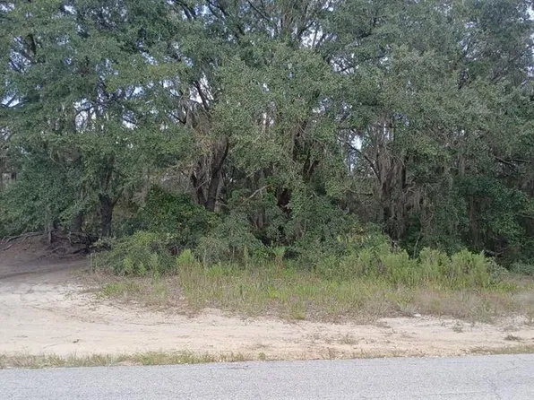 SE MALAUKA LOOP RUN ROAD LOT 12, OCKLAWAHA, FL 32179