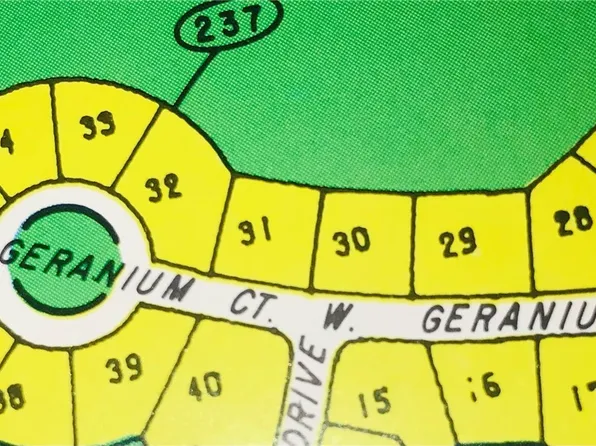 3 Geranium Ct W, Homosassa, FL 34446