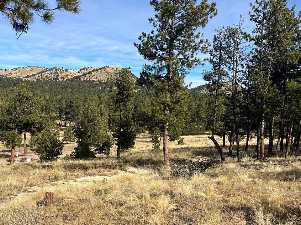 88 Bull Domingo Ln, Westcliffe, CO 81252 Zillow